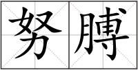 努膊