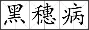 黑穗病
