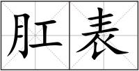 肛表