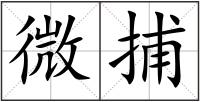 微捕