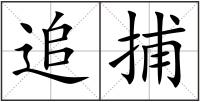 追捕