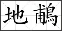 地鵏