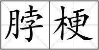 脖梗