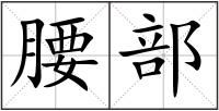 腰部
