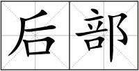 后部
