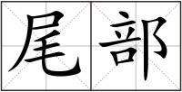 尾部