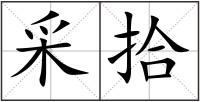 采拾