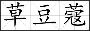 草豆蔻