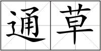 通草