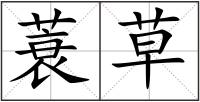 蓑草