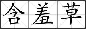 含羞草