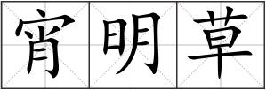宵明草