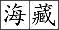 海藏