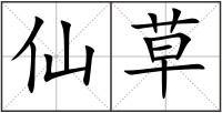 仙草