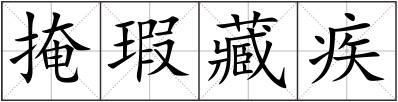 掩瑕藏疾