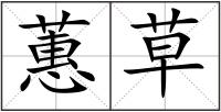 蕙草