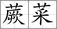 蕨菜