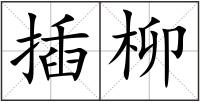 插柳