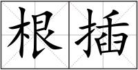 根插