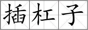 插杠子