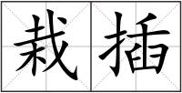 栽插
