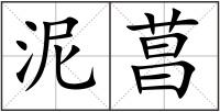 泥菖