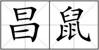 昌鼠