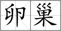 卵巢
