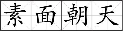 素面朝天