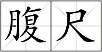 腹尺