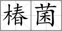 椿菌