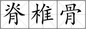 脊椎骨