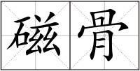 磁骨