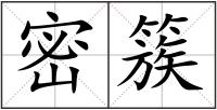 密簇