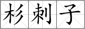 杉刺子