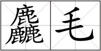麤毛