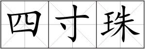 四寸珠