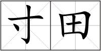 寸田