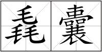 毳囊