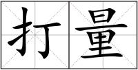 打量