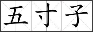五寸子