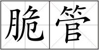 脆管