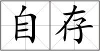 自存