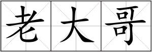老大哥