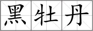 黑牡丹