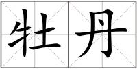 牡丹