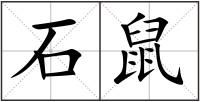 石鼠