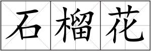 石榴花