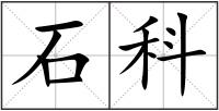 石科