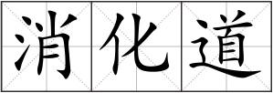 消化道